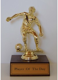 Soccer - Player of the Day