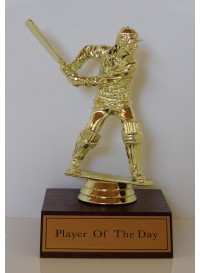 Cricket - Player of the Day