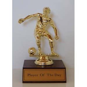 Soccer - Player of the Day