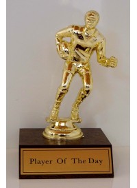 Rugby - Player of the Day